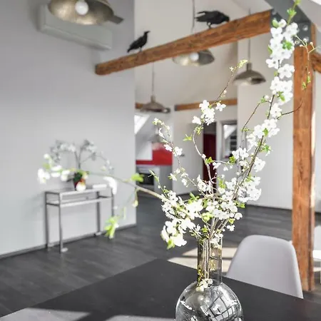Designer Loft شقة براغ
