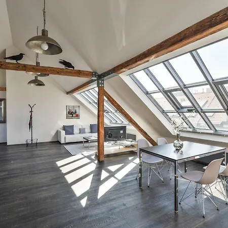 Designer Loft *