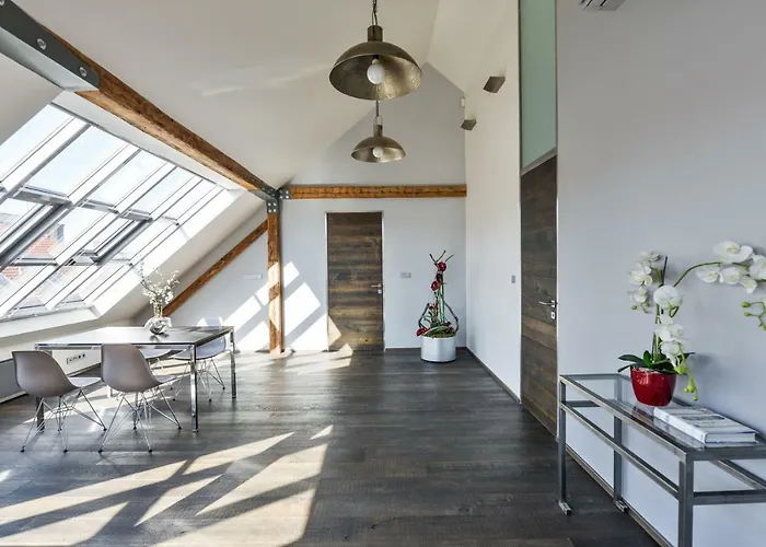 Designer Loft